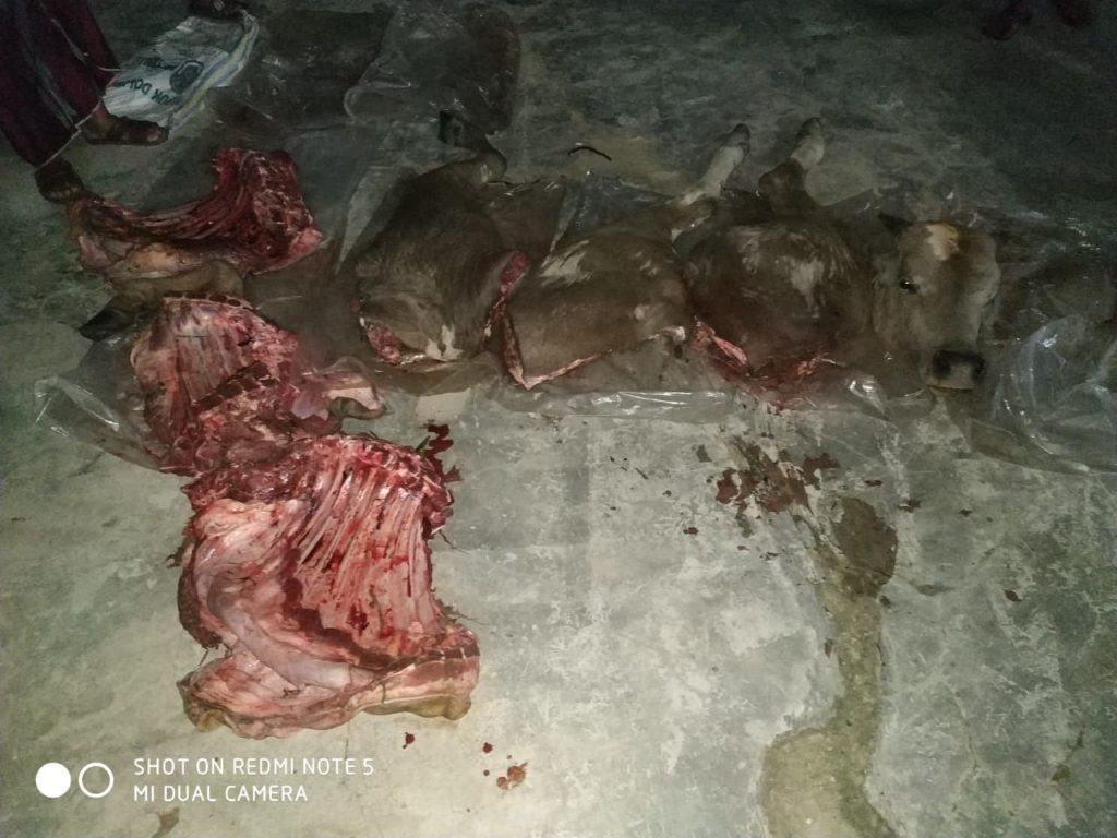 Dua Pelaku Pencuri 