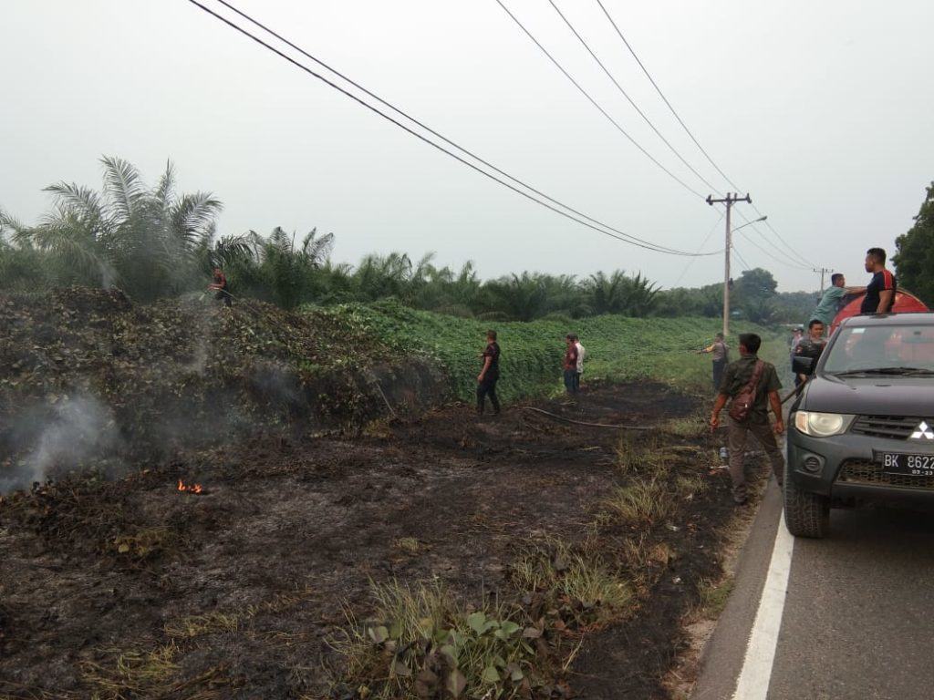Kebakaran Lahan PTP Sipep, Diduga Akibat Semaknya Parit Bekoan