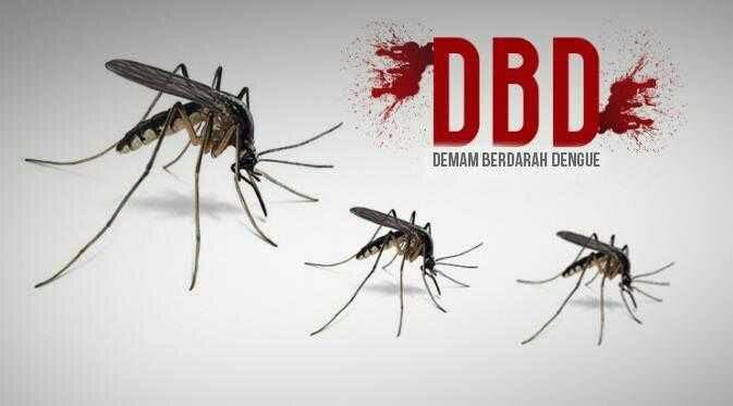 DBD Renggut Nyawa Anak Kadinkes Tapsel, Pemko Sidempuan Akui Kecolongan