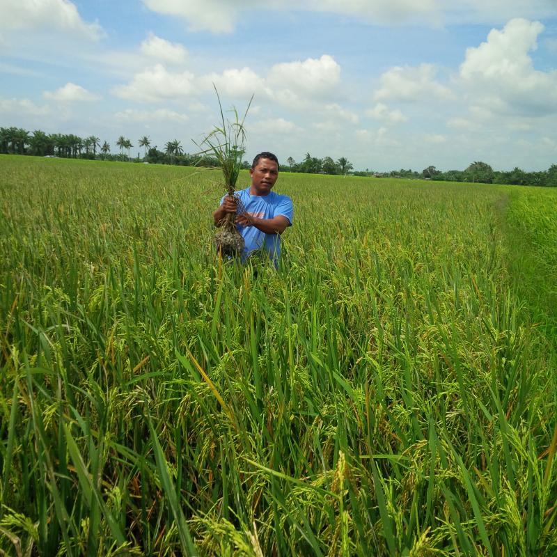Petani Minta Pemkab Batubara Ganti Rugi