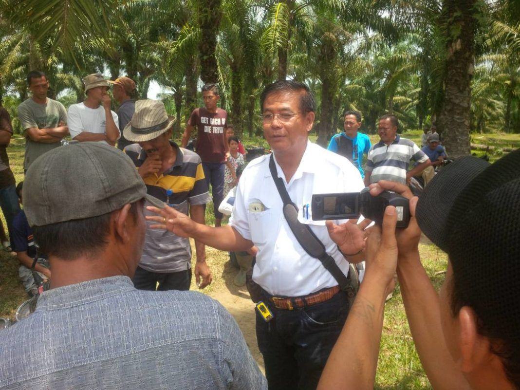 Warga Minta, PT Socfindo Jangan Arogan Memutuskan Jalan Ternak Sapi