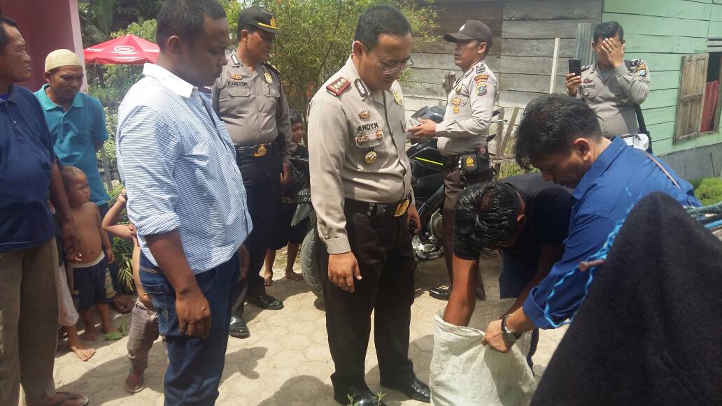 Narkoba Ganja Sidempuan