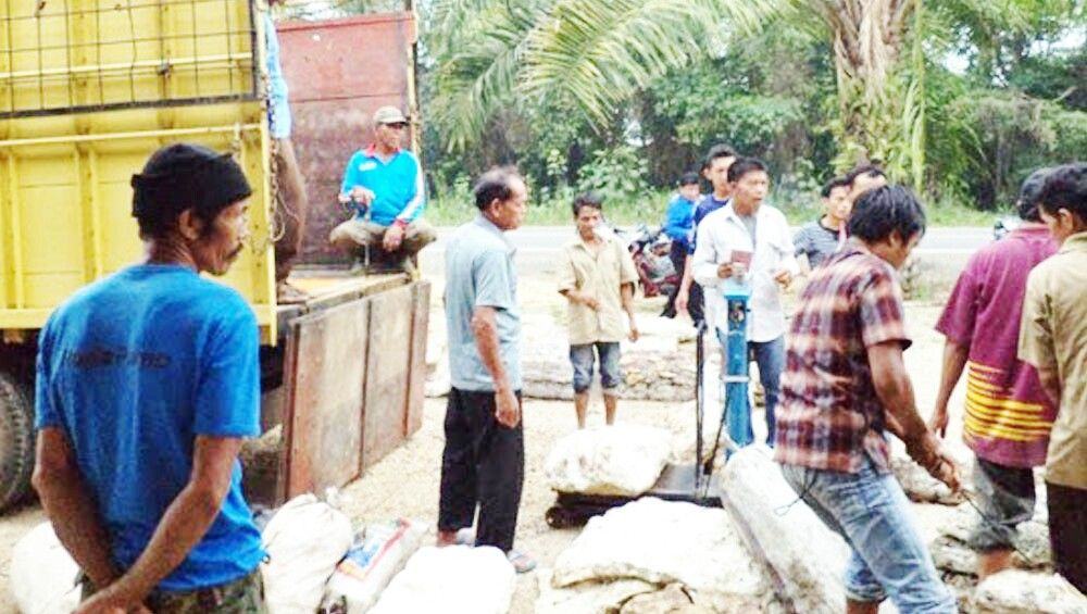 Harga Karet Labuhanbatu Utara