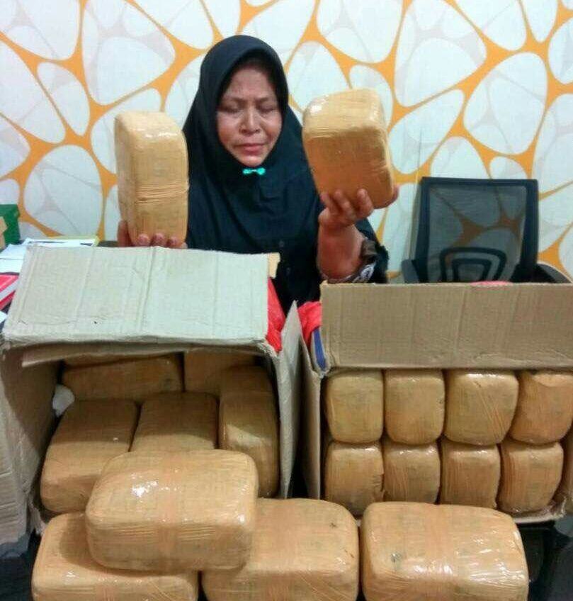 Peredaran Narkoba Medan Ganja