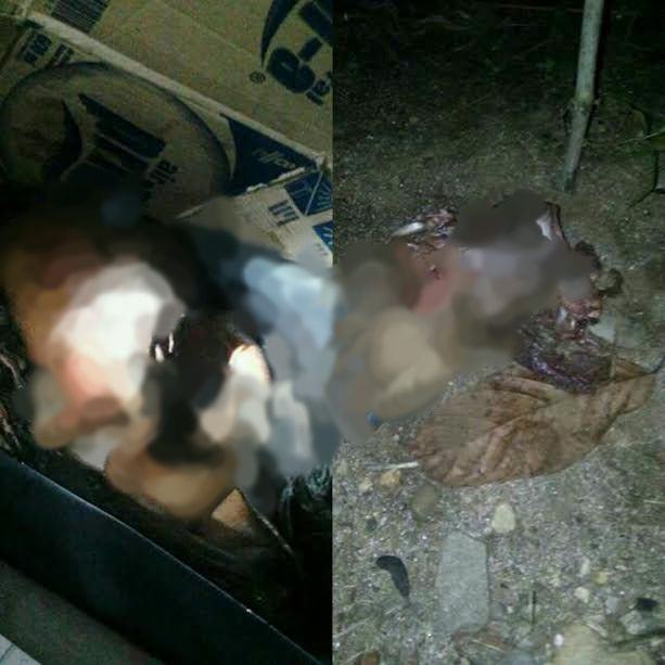 Bunuh Diri di Rantau Prapat