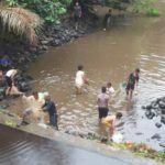 Diduga Tercemar Limbah, Ribuan Ikan Mengapung di Sungai Damuli (2)