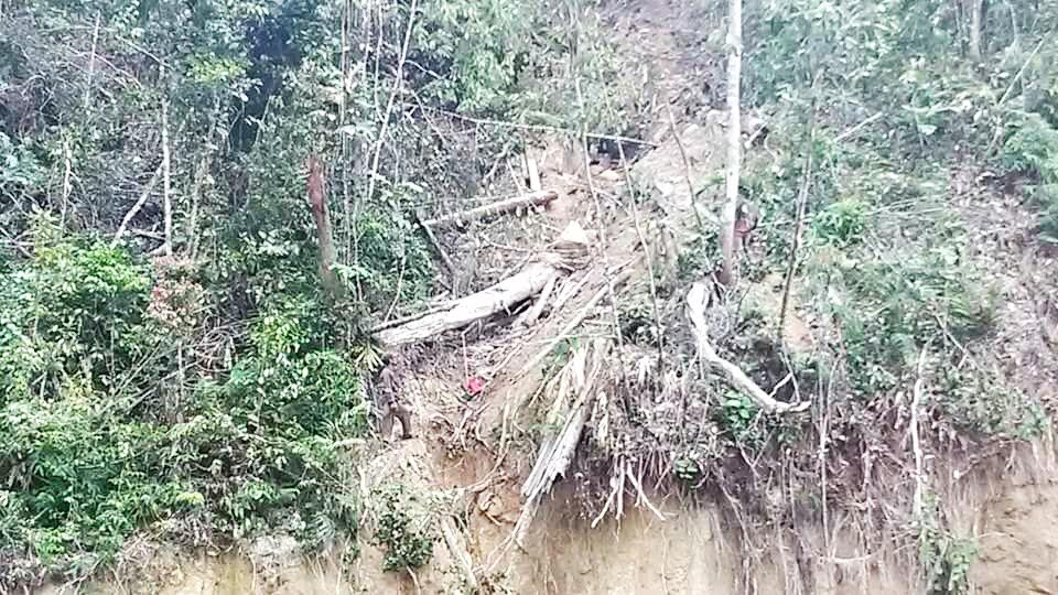 Hutan Gundul Labura