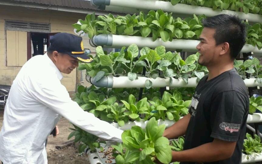 Kadis Ketahanan Pangan Tapteng