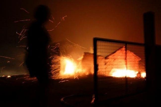Kebakaran di Figueira, dekat Pedrogao Grande, Portugal, Sabtu (17/6). (Foto: Paulo Cunha/EPA)