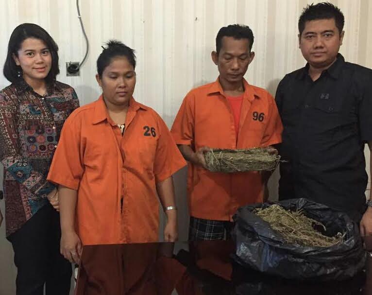 Pengedar Narkoba Medan