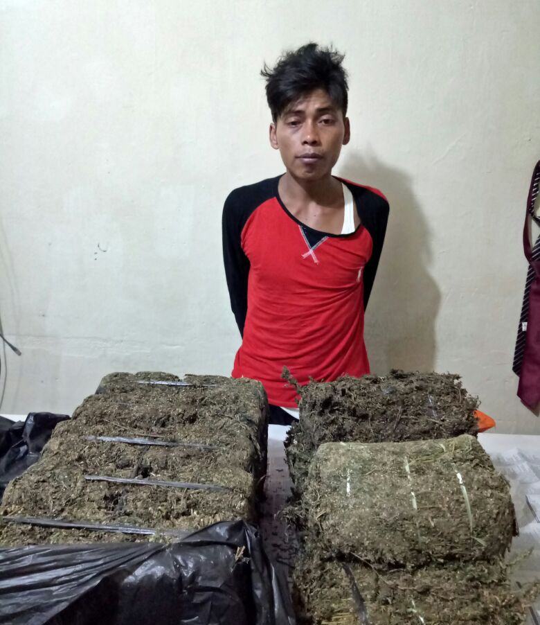 Polisi Gagalkan Peredaran 15 Kg Ganja
