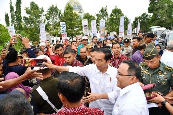 Foto: Presiden Jokowi saat melakukan peremajaan tanaman di Desa Panca Tunggal, Kecamatan Sungai Lilin, Kabupaten Musi Banyuasin, Jumat (13/10).