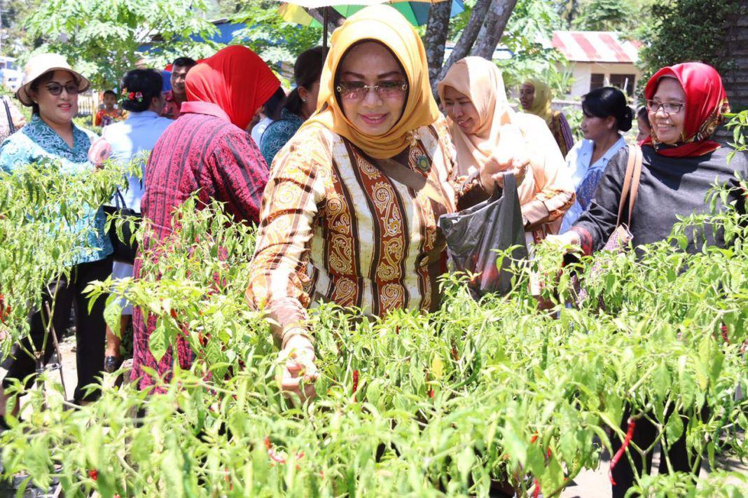 Masuk Nominasi Gertam Cabai Nasional