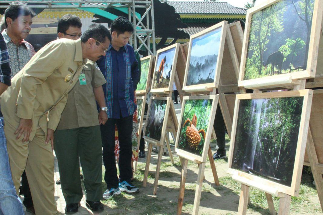 Hutan Tropis Sumut