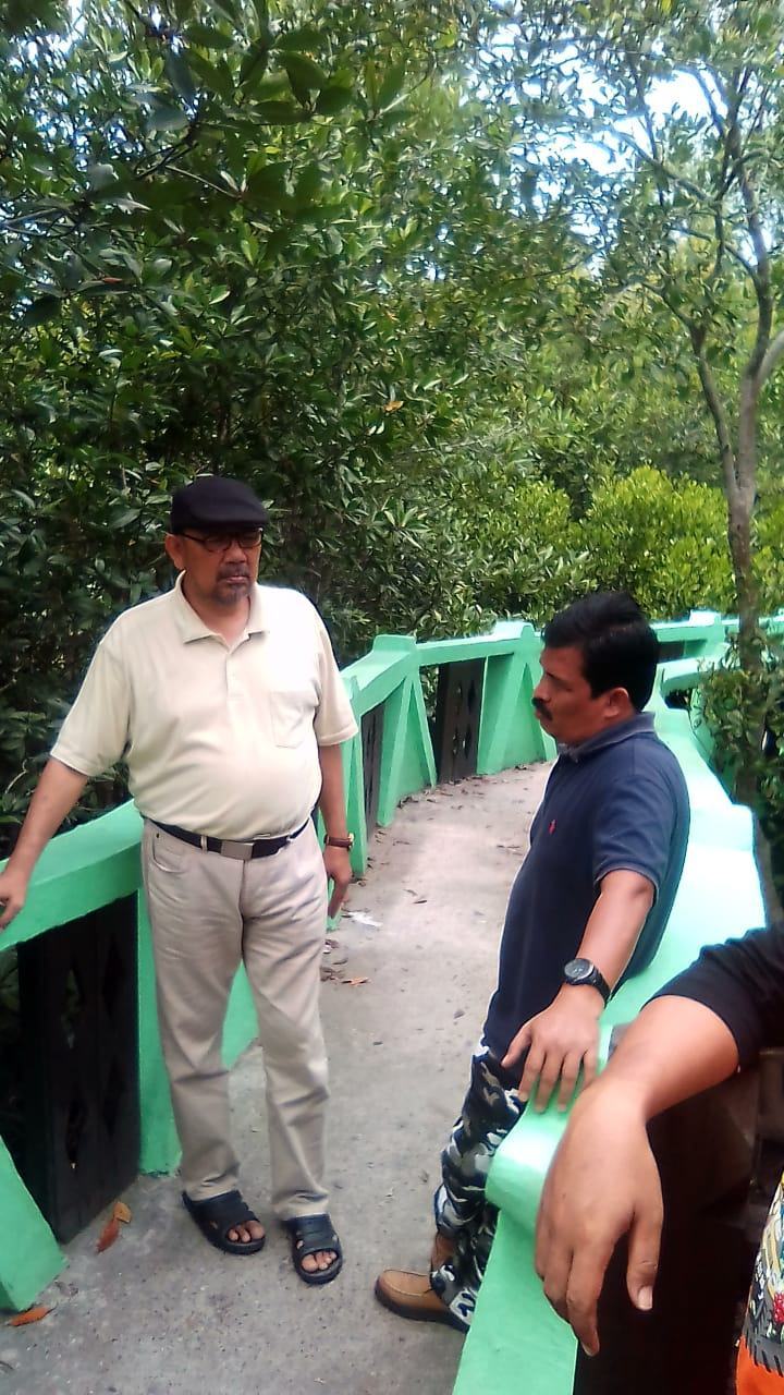 Hutan Mangrove