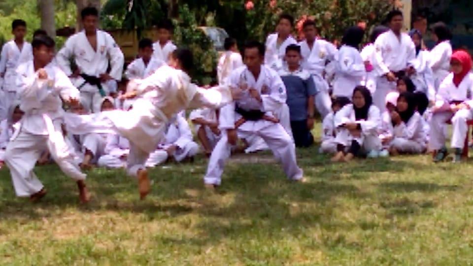 Perguruan Silat Walet Puti