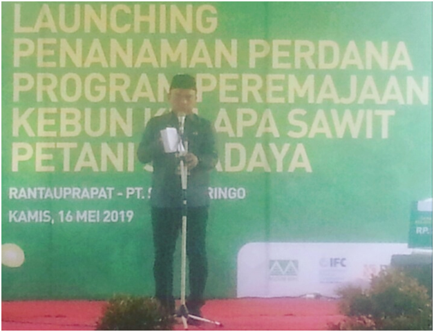 Peremajaan Kelapa Sawit,