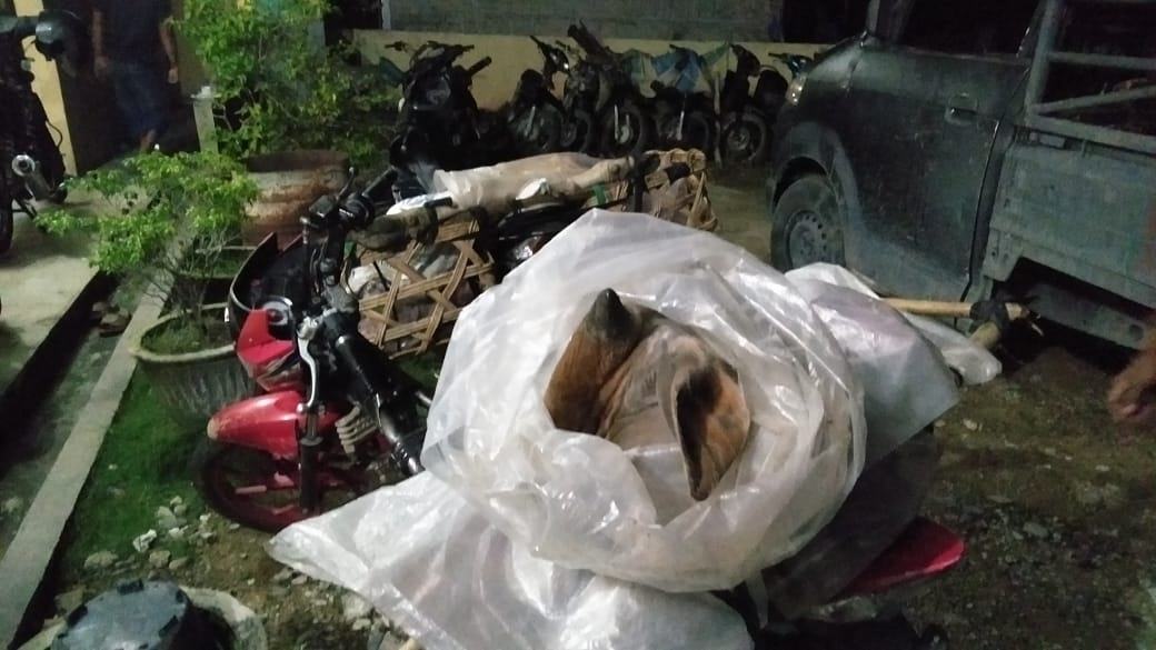 Dua Pelaku Pencuri