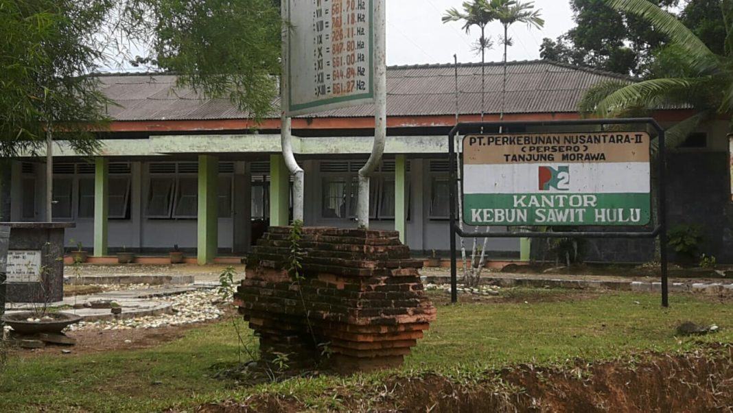 Tidak Sesuai UMK PerGub, Gaji Karyawan PKWT PTPN II Sawit Hulu