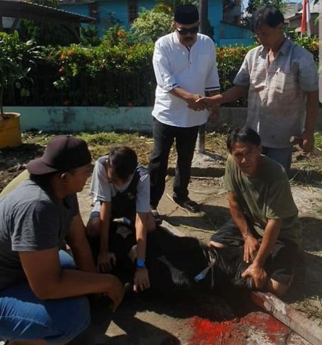 Ketum JAMIN, Laksanakan Penyembelihan Qurban