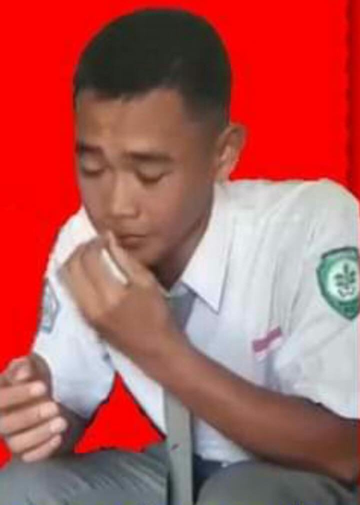 Derita Anak Yatim Gagal Paskibra, HMI Sumut: Pak Bupati, Malu Dong!