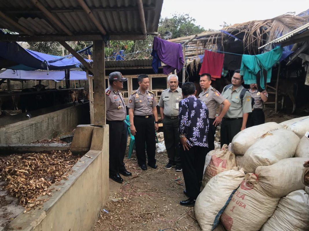Hari Raya Idul Adha, Polres Banjar Pengawasan Hewan Kurban