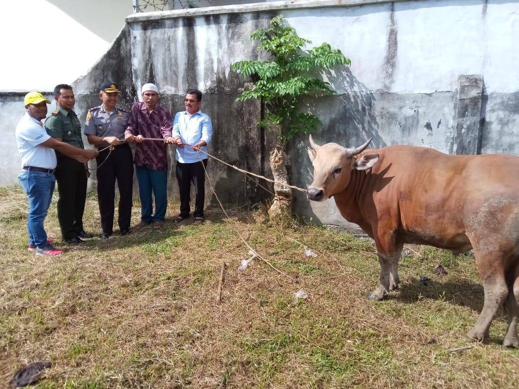 Pemerintah Kota Langsa, Sediakan 117 Hewan Kurban