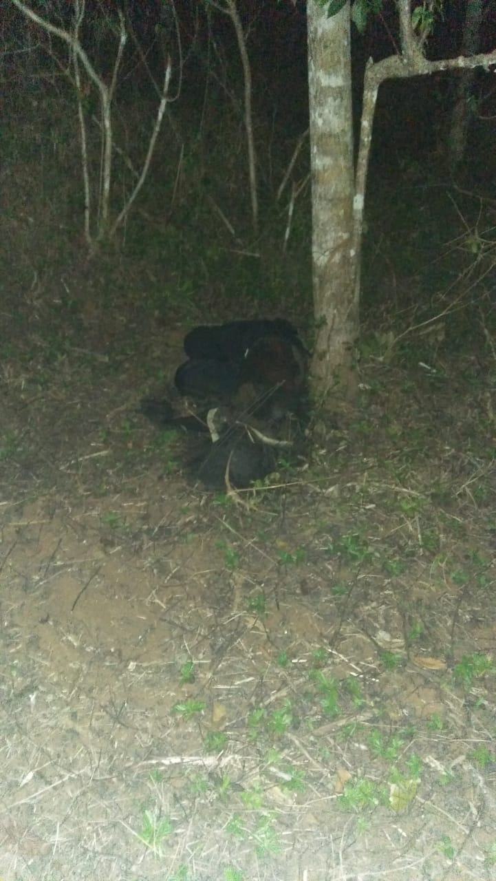 Warga Ciamis, Dihebohkan Dengan Penemuan Mayat Yang Sudah Membusuk