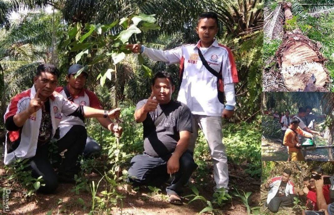 Surat dari kepala desa Lau Garut
