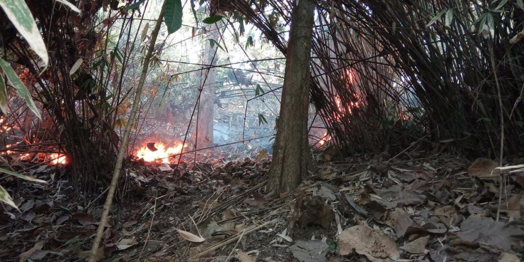 Hutan Jati Gunung Geger Bentang Terbakar
