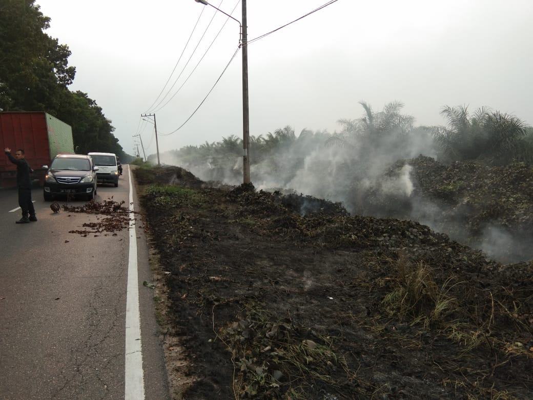 Kebakaran Lahan PTP Sipep, Diduga Akibat Semaknya Parit Bekoan