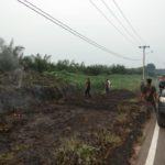 Kebakaran Lahan PTP Sipep, Diduga Akibat Semaknya Parit Bekoan