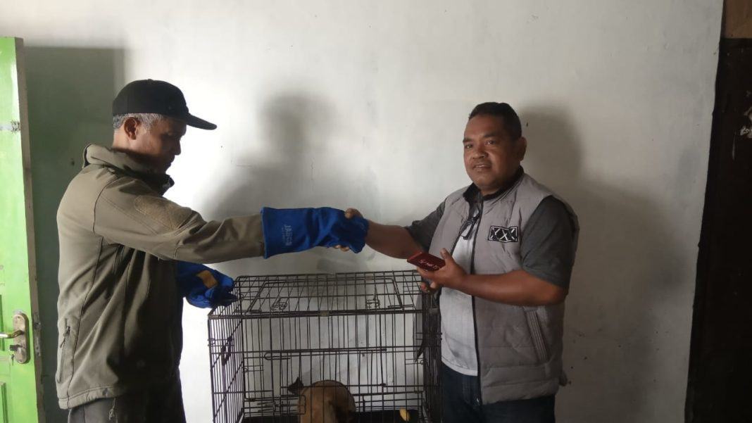 BKSDA Jabar, Terima 1 Satwa Yang Dilindungi Dari Masyarakat