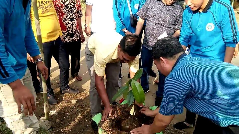 Kades Kampung Baru, Kerjasama dengan Mahasiswa ULB Program Penanaman Pohon
