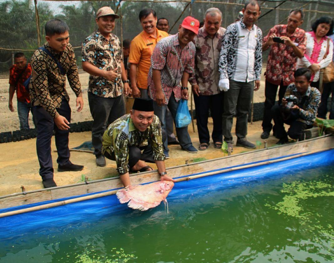 Plt Bupati Labuhanbatu, Harapkan Petani Berinovasi