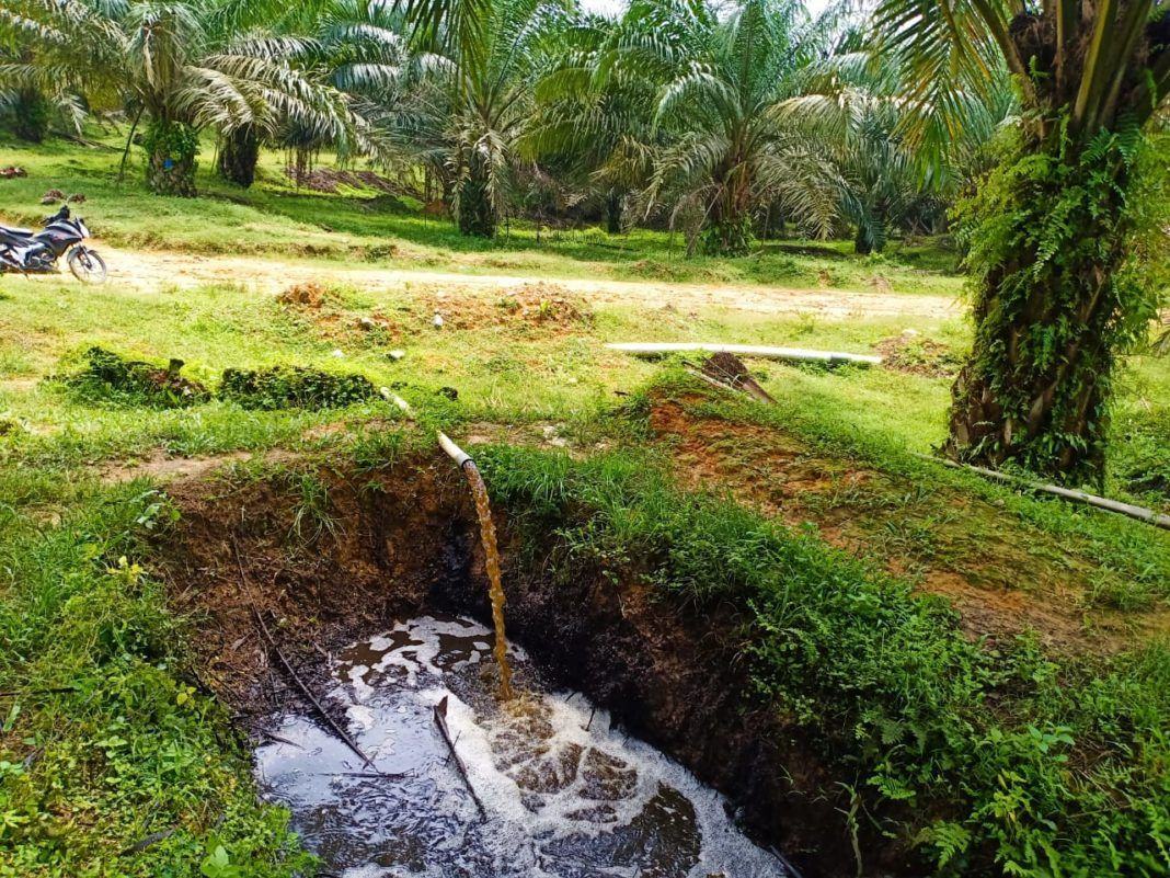 Kelola Limbah Cair, PKS PTPN IV Terapkan Sistem Land Application