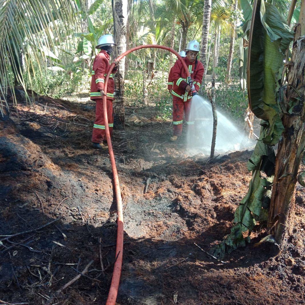 Kebakaran Pangandaran, Pengolahan Limbah Sabut Kelapa Terbakar