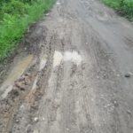 Desa Karya Maju, Pemuda Berharap Bupati Langkat Perhatikan Jalan Rusak