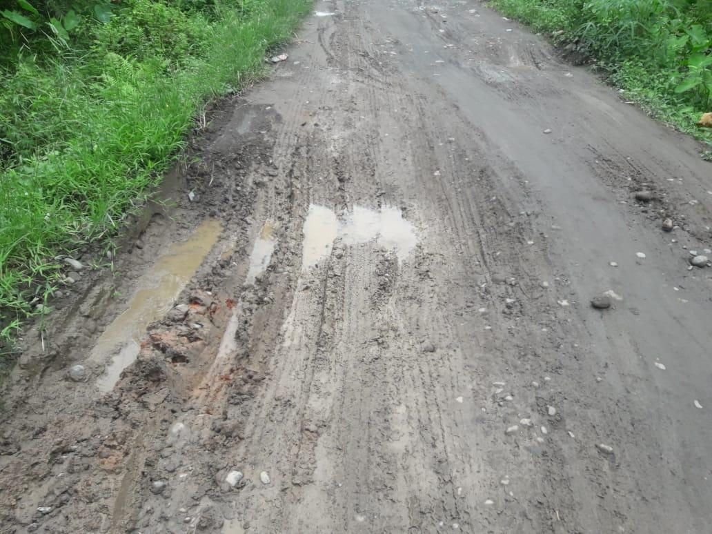 Desa Karya Maju, Pemuda Berharap Bupati Langkat Perhatikan Jalan Rusak