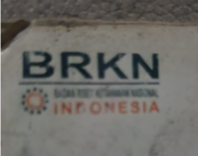 Peneliti Senior BRKN: Perguruan Tinggi Rentan Masuknya Paham Radikalisme