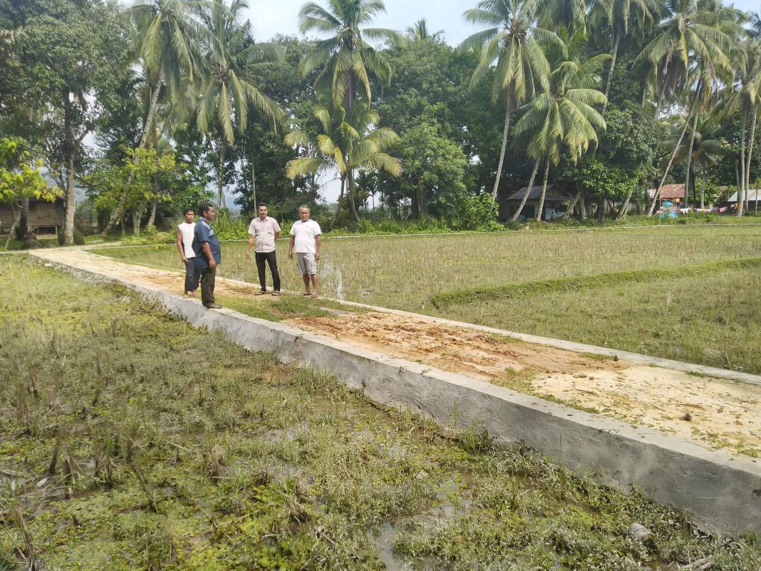 Bangunan Rabat Beton, Permudah Masyarakat Desa Kampung Mudik Angkut Hasil Panen