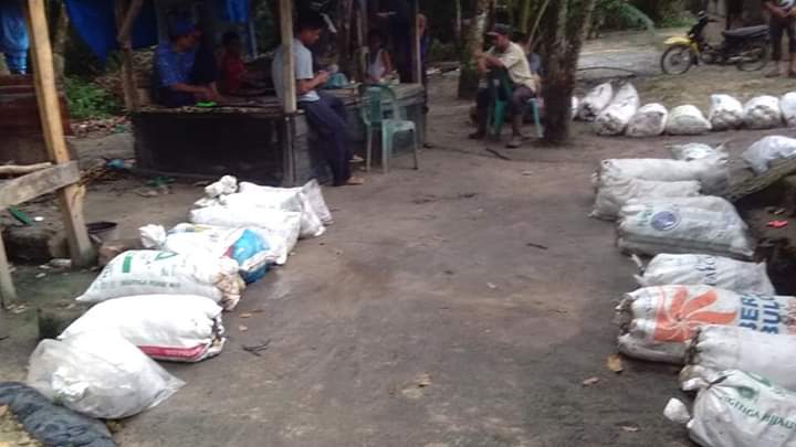 Harga Getah Anjlok, Petani Paluta Kecewa