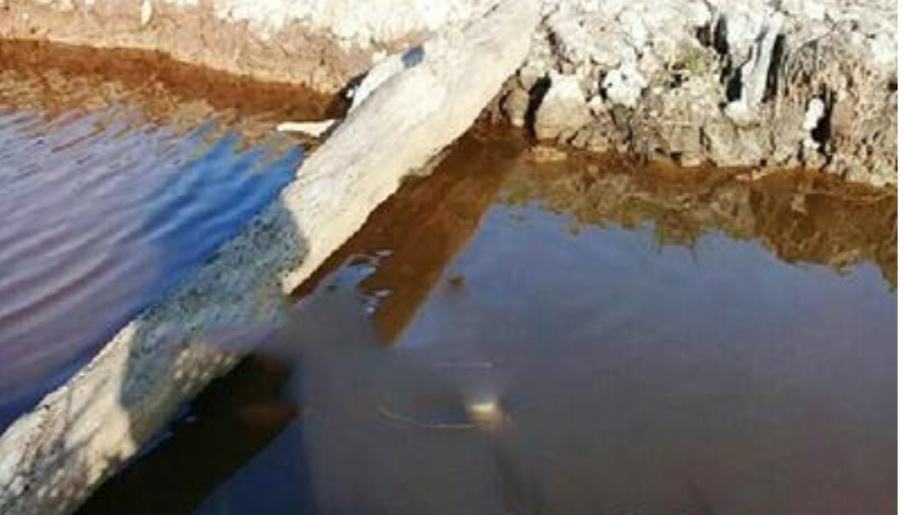 Anak Tenggelam Labuhanbatu, Ketiganya Tewas Diparit Bekoan