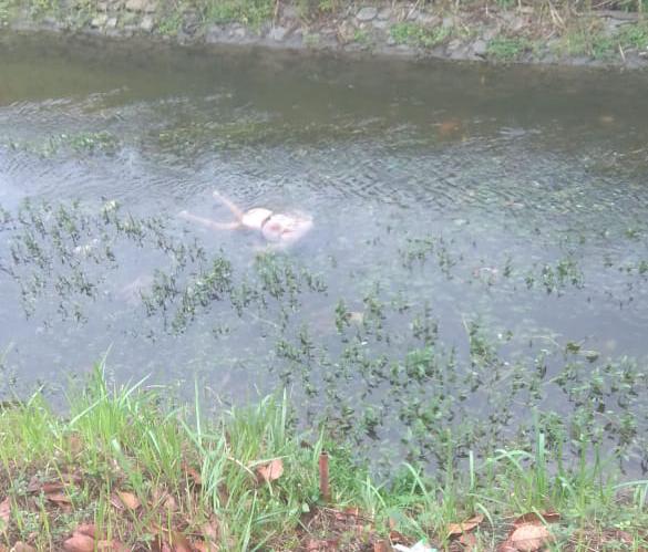 Mayat Perempuan Ciamis, Ditemukan Warga di Saluran Irigasi