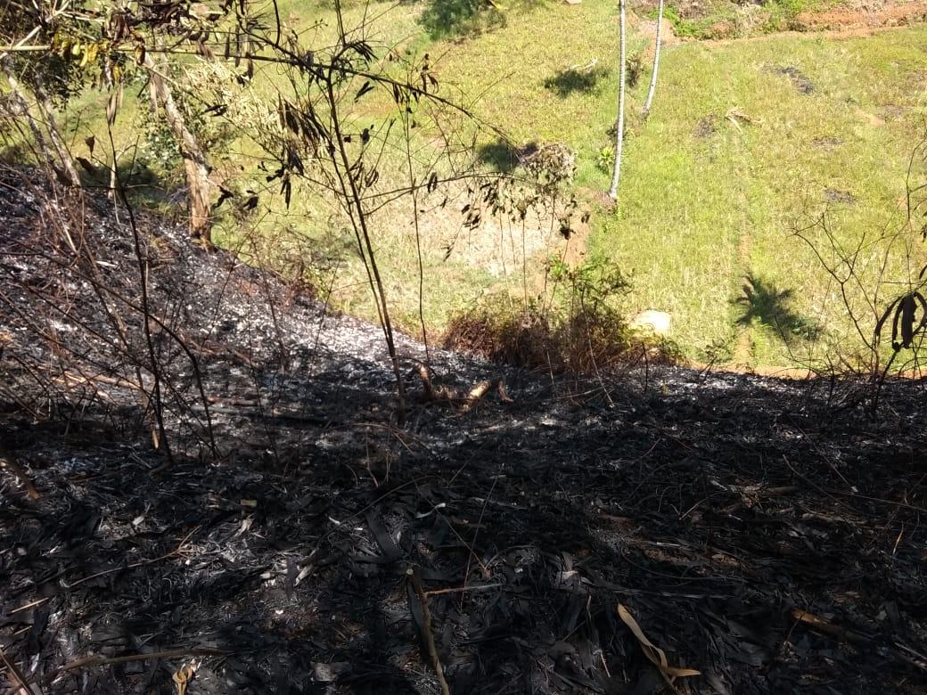 Kebun Bambu Terbakar, Warga Ciamis Tewas