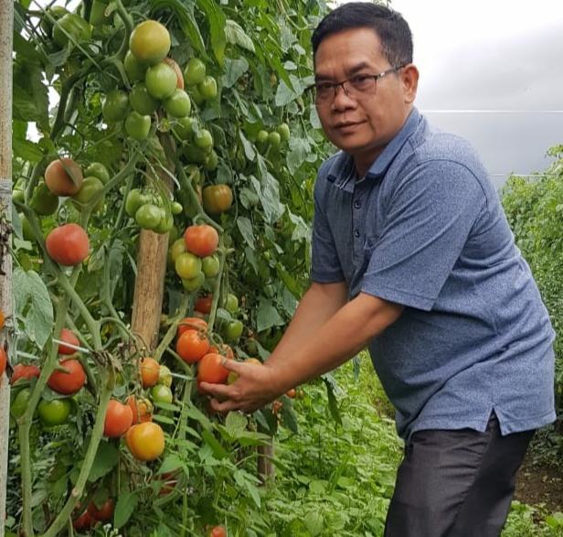 Pupuk Langka, Petani Mengeluh ke Ketua DPC PDIP Langkat 