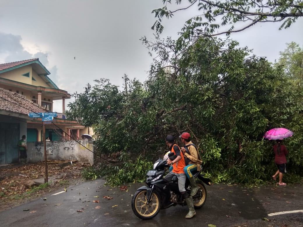 Angin Puting Beliung, Landa Ciamis