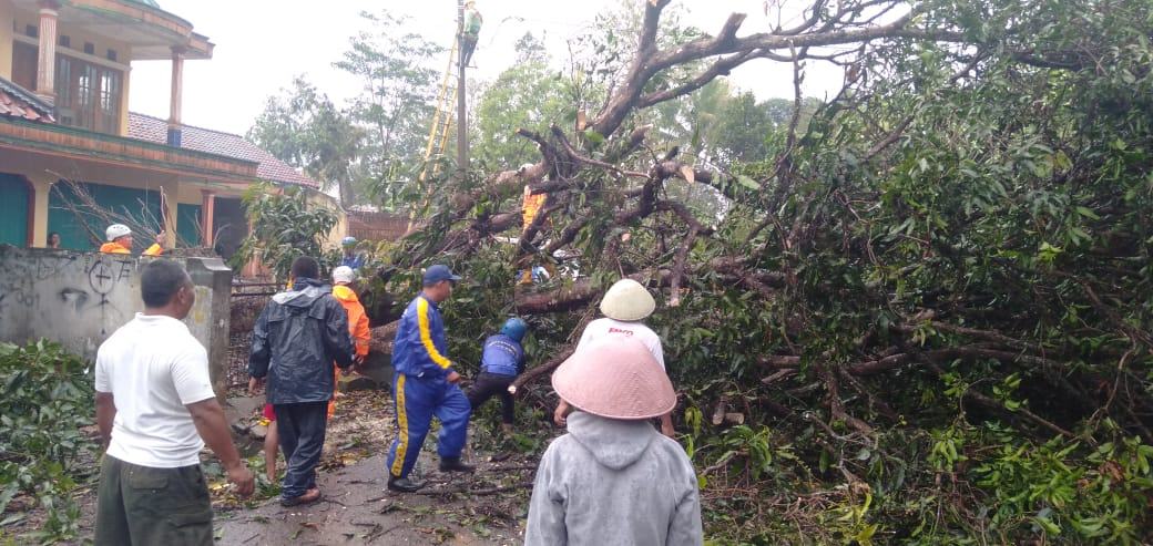 Hujan Deras Ciamis, Rumah Warga Rusak dan Pohon Tumbang