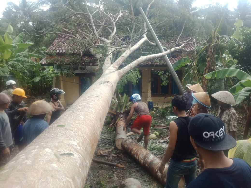 Hujan Deras Ciamis, Rumah Warga Rusak dan Pohon Tumbang