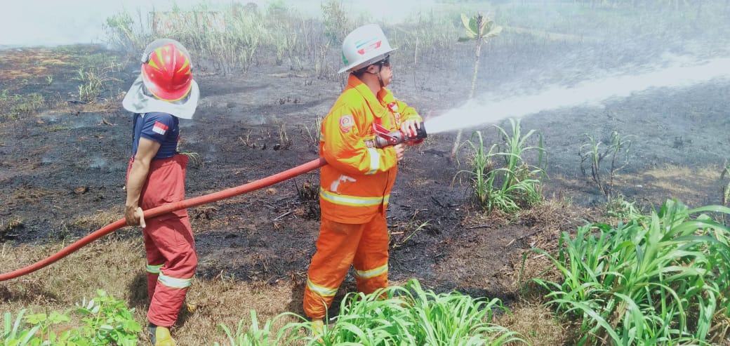 Kebakaran Kebun Pangandaran, Diduga Akibat Bakar Sampah Ditinggalkan